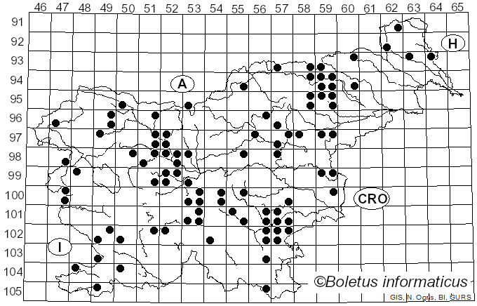 <i>Melanoleuca melaleuca</i> (Pers.) Murrill (1911)