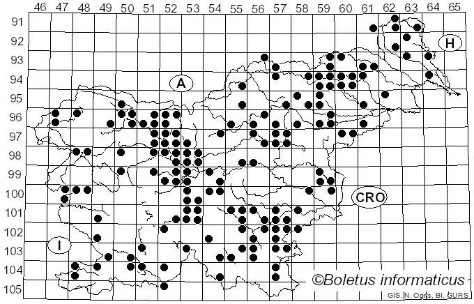 <i>Panellus</i> P. Karst. (1879)