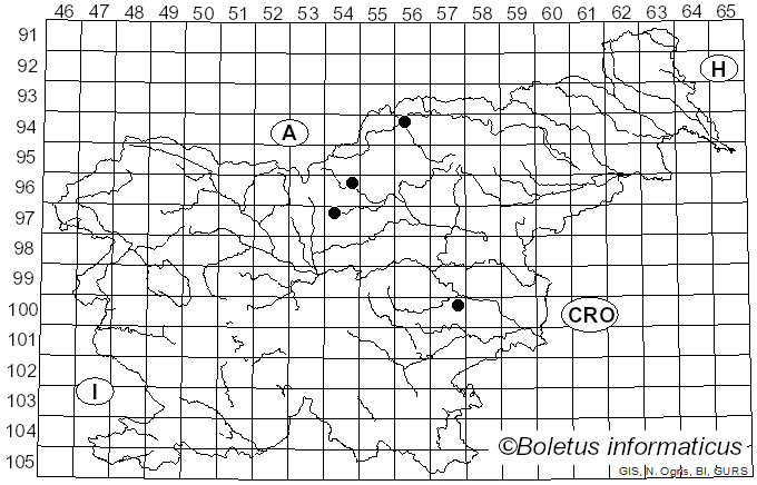 <i>Mycosphaerella laricina</i> R. Hartig (0)