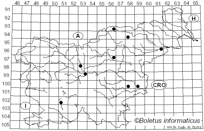 <i>Kabatina thujae</i> R. Schneid. & Arx (1966)