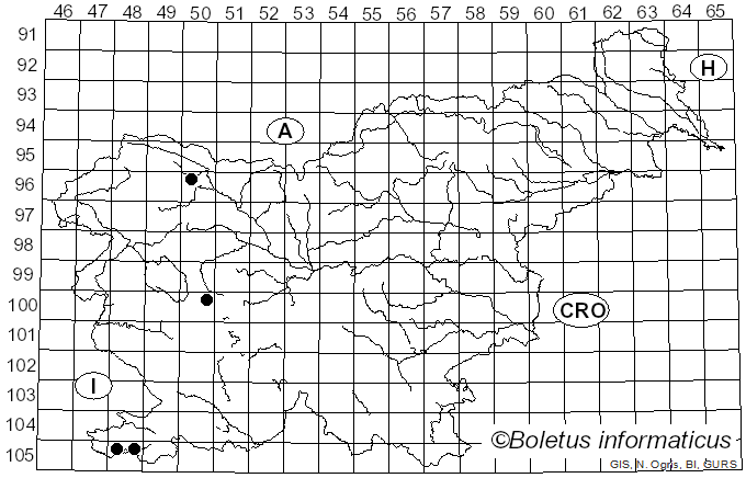 <i>Didea fasciata</i> Macquart