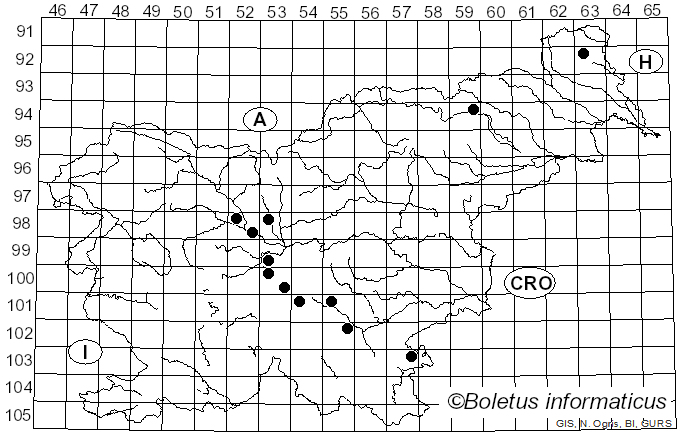 <i>Calycella</i> (Fr.) Boud. (1885)