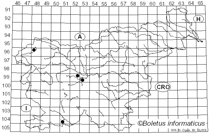 <i>Asterosporium</i> Kunze (1819)