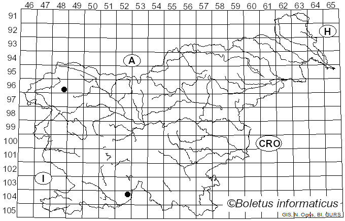 <i>Polyblastia sendtneri</i> Kremp. (1855)