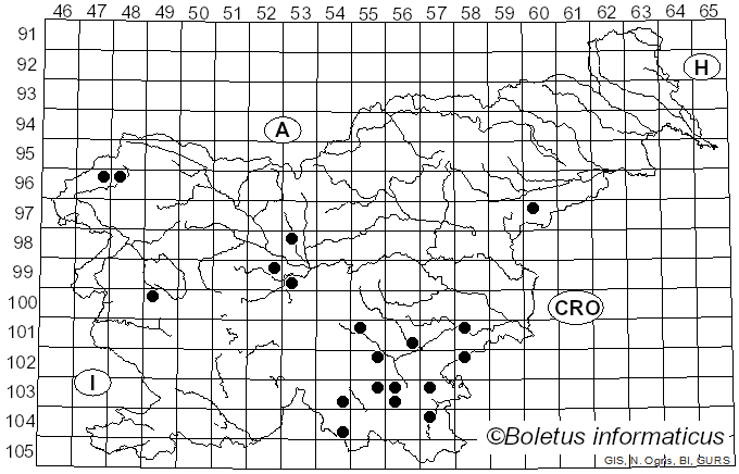 <i>Plicatura</i> Peck (1872)