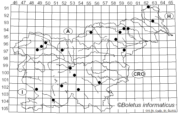 <i>Collybia tuberosa</i> (Bull.) P. Kumm. (1857)