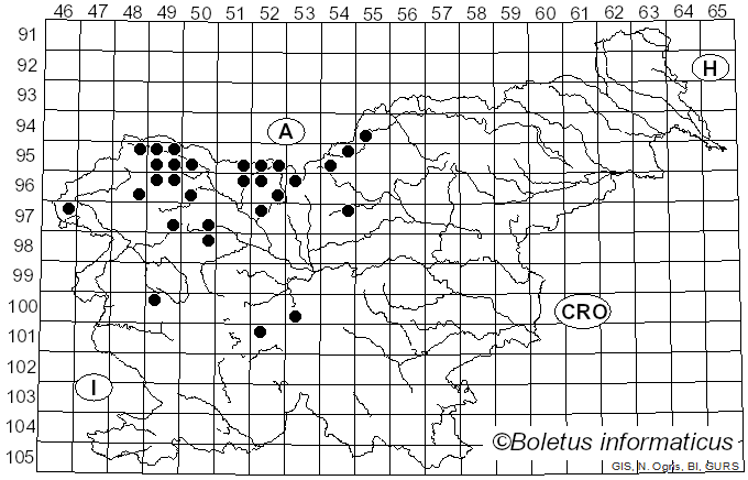 <i>Chrysomyxa rhododendri</i> (DC.) de Bary (1879)