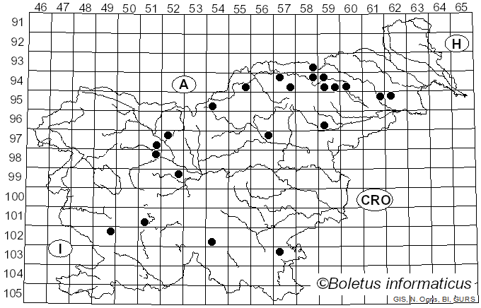 <i>Russula pseudo-olivascens</i> Kärcher (2002)