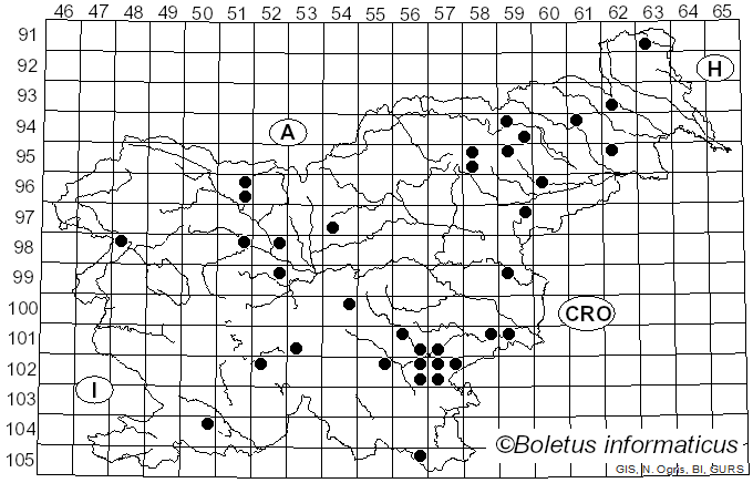 <i>Chlorociboria aeruginosa</i> (Oeder) Seaver ex C.S. Ramamurthi, Korf & L.R. Batra (1958)