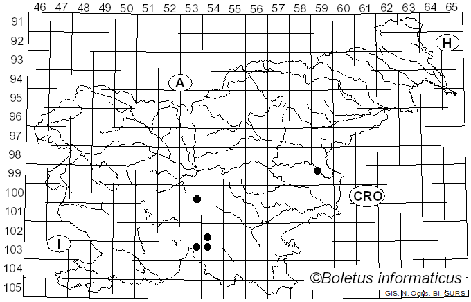 <i>Entoloma lividocyanulum</i> Noordel. (1984)