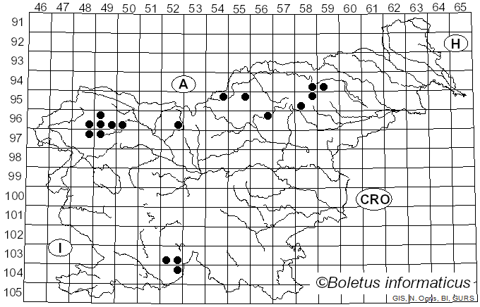 <i>Bryoria subcana</i> (Nyl. ex Stizenb.) Brodo & D. Hawksw. (1977)