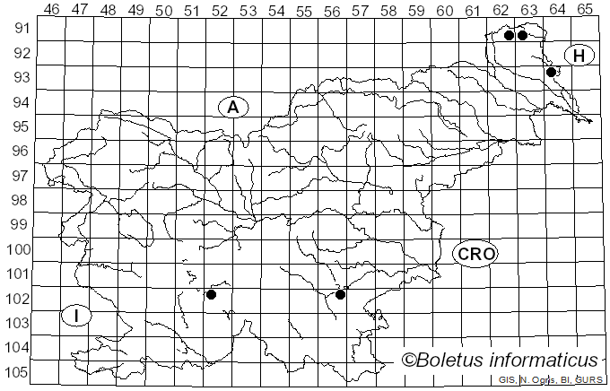 <i>Peniophora rufa</i> (Fr.) Boidin (1958)