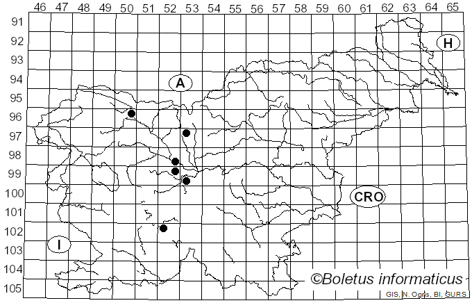 <i>Aecidium penicillatum</i> Pers. (1792)