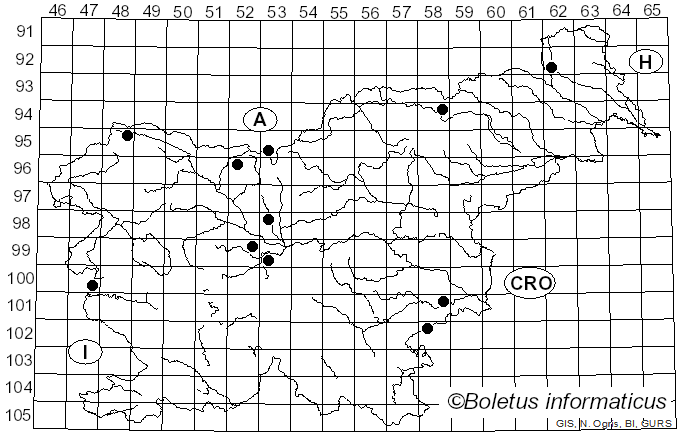 <i>Scutellinia umbrorum</i> (Fr.) Lambotte (1887)