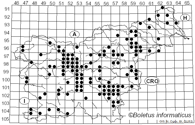 <i>Helvella crispa</i> (Scop.) Fr. (1822)