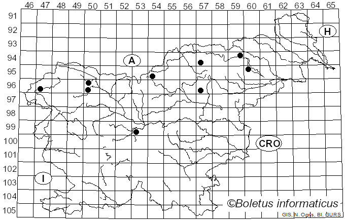 <i>Rhodofomes roseus</i> (Alb. & Schwein.) Kotl. & Pouzar (1990)