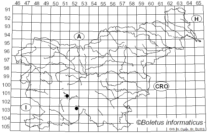 <i>Xanthoria ulophyllodes</i> Räsänen (1931)