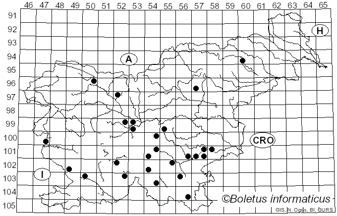<i>Pseudoinonotus dryadeus</i> (Pers.) T. Wagner & M. Fisch. (2001)