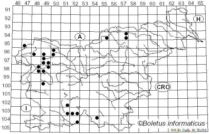 <i>Catillaria nigroclavata</i> (Nyl.) Schuler (1902)