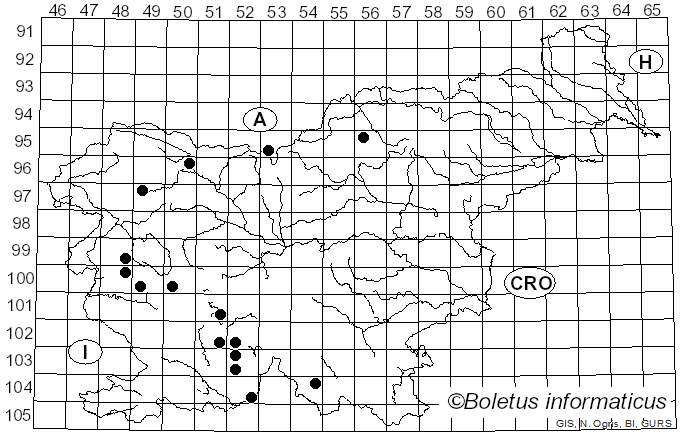 <i>Pleurosticta</i> Petr. (1931)