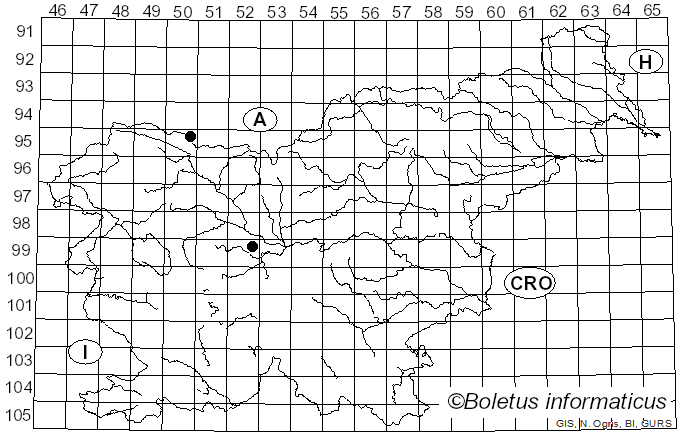 <i>Calycella lenticularis</i> (Bull.) Boud. (1907)
