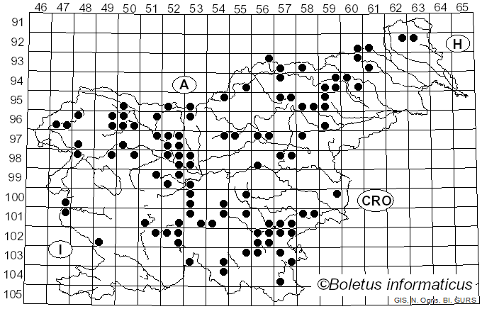 <i>Gloeophyllum sepiarium</i> (Wulfen) P. Karst. (1879)