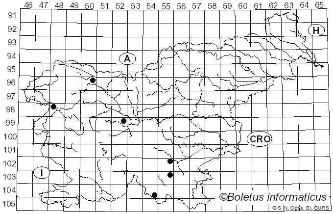 <i>Oxyporus populinus</i> (Schumach.) Donk (1933)