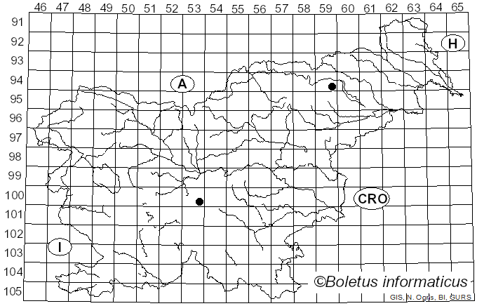 <i>Calonarius glaucescens</i> (Jul. Schäff.) Niskanen & Liimat. (2022)
