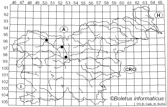 <i>Uromyces silenes</i> (Schltdl.) Fuckel (1924)