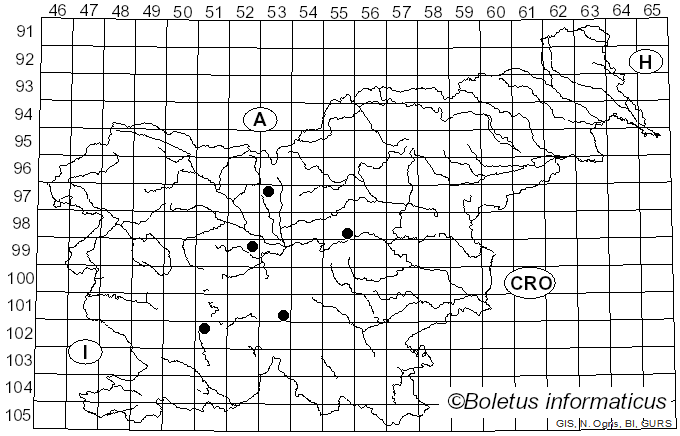 <i>Ozonium</i> Link (1809)
