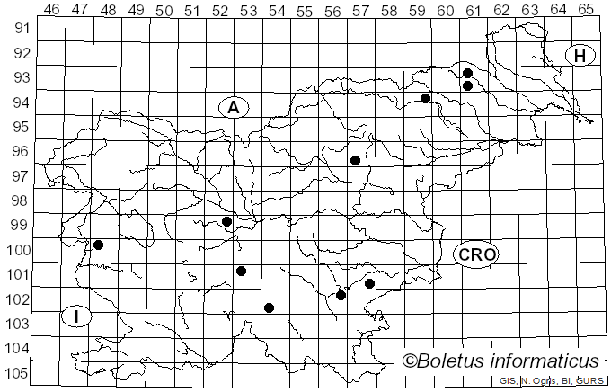 <i>Cortinarius betulinus</i> J. Favre (1948)