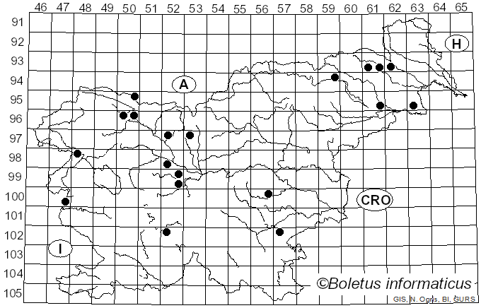 <i>Melogramma</i> Fr. (1849)