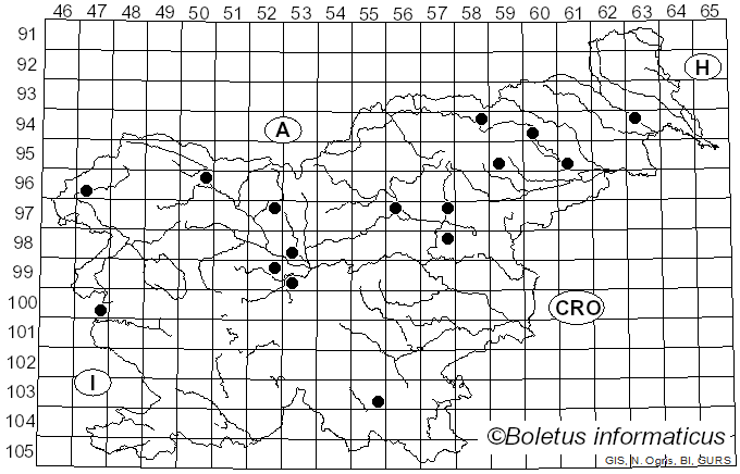 <i>Mycena tintinnabulum</i> (Batsch) Quél.