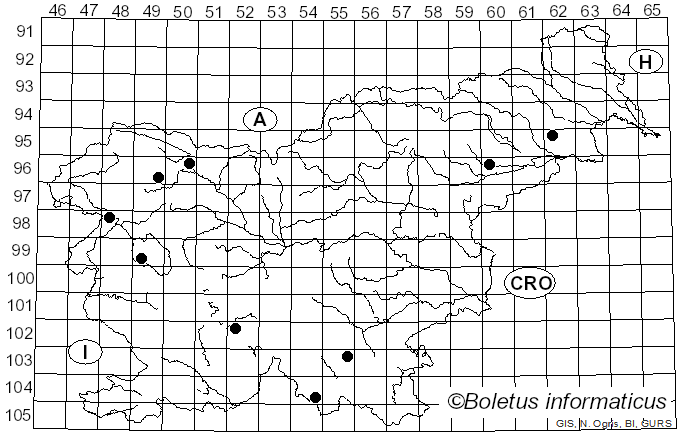 <i>Phanerochaete sordida</i> (P. Karst.) J. Erikss. & Ryvarden (1978)