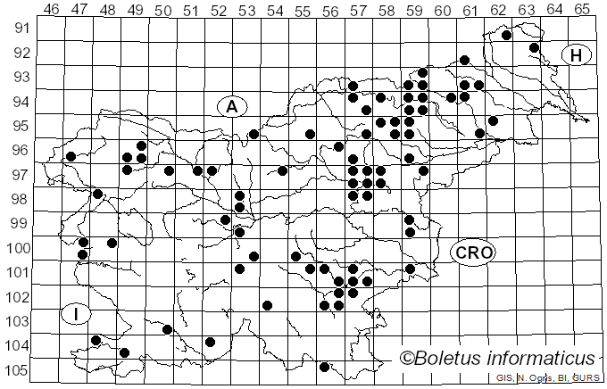<i>Cortinarius brunneus</i> (Pers.) Fr. (1838)