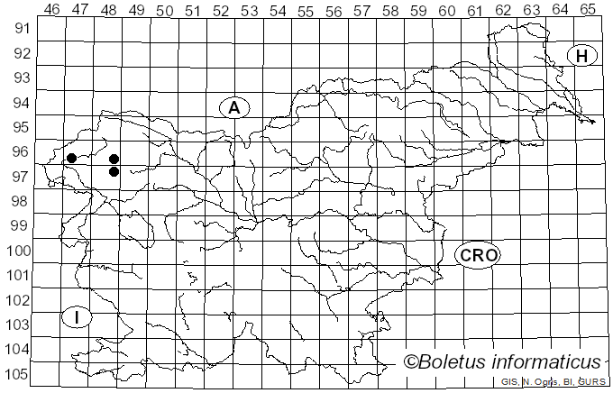 <i>Microbotryum lychnidis-dioicae</i> (DC. ex Liro) G. Deml & Oberw. (1982)