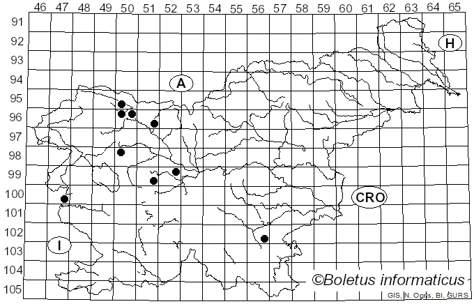 <i>Hymenoscyphus fructigenus</i> (Bull.) Gray (1821)
