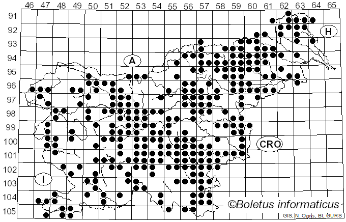 <i>Psathyrella</i> (Fr.) Quél. (1872)