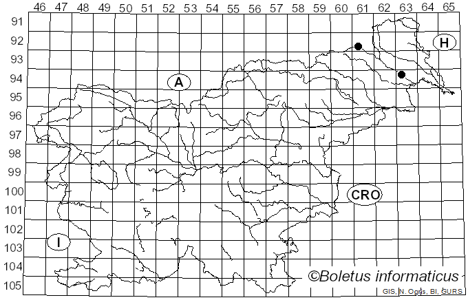<i>Quaternaria dissepta</i> (Fr.) Tul. & C. Tul. (1863)