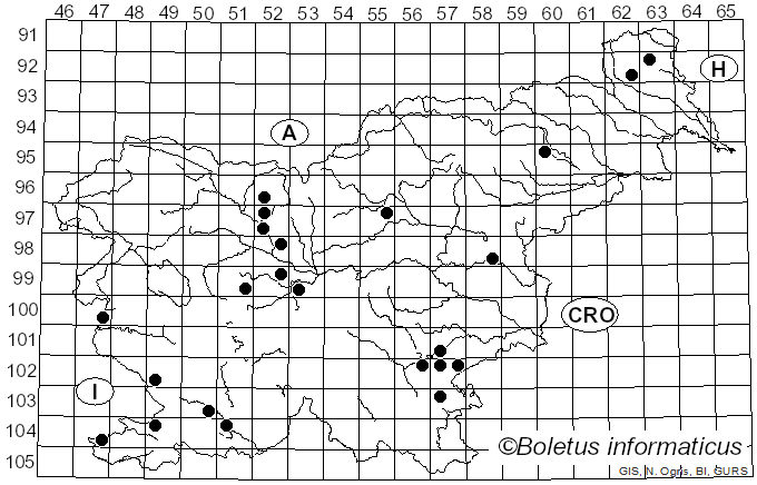<i>Tricholoma gausapatum</i> (Fr.) Quél. (1872)