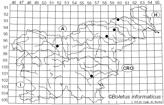 <i>Cortinarius safranopes</i> Rob. Henry (1938)