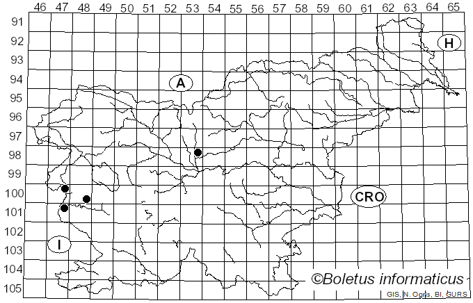 <i>Tricholosporum</i> Guzmán (1975)