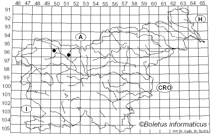<i>Cyphellopsis</i> Donk (1931)