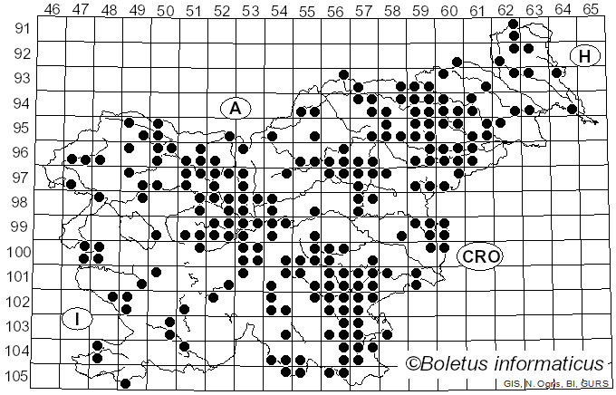 <i>Laetiporus sulphureus</i> (Bull.) Murrill (1920)