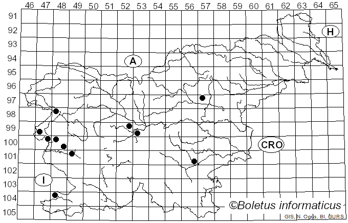 <i>Cortinarius gracilior</i> Jul. Schäff. (1947)