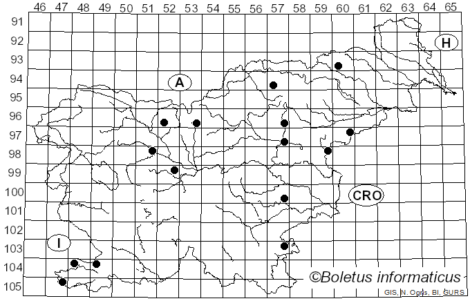 <i>Stigmella hemargyrella</i> Kollar (1832)