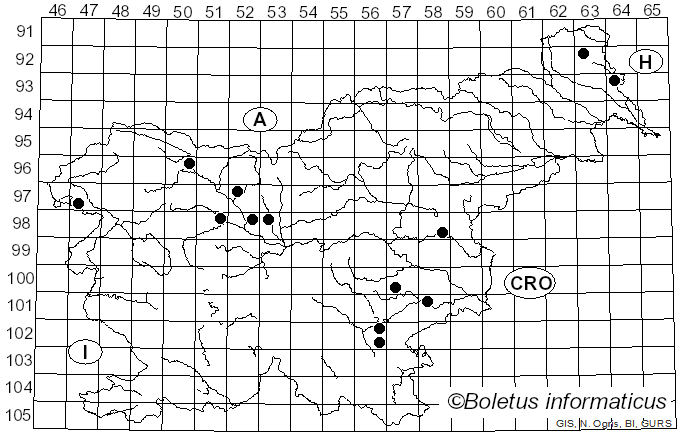 <i>Rutstroemia bolaris</i> (Batsch) Rehm (1893)