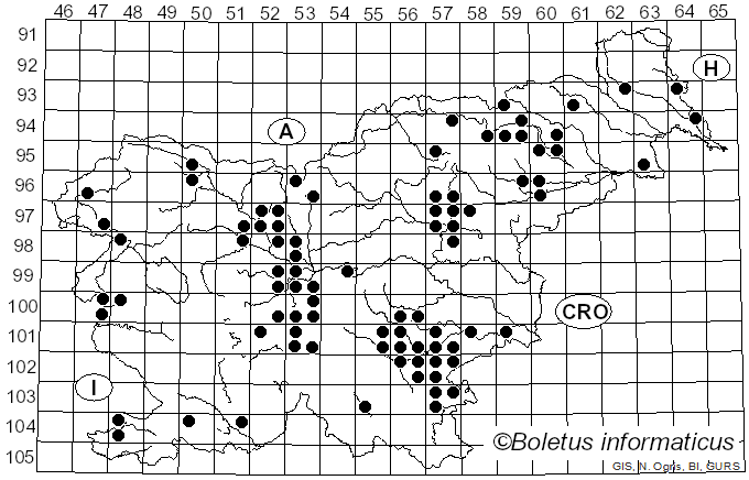 <i>Agrocybe praecox</i> (Pers.) Fayod (1889)