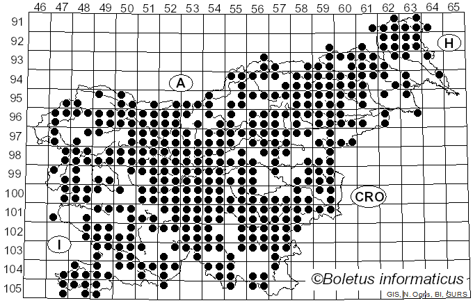 <i>Tricholoma</i> (Fr.) Staude (1857)