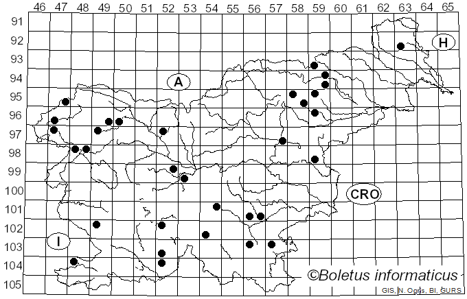 <i>Ramaria bataillei</i> (Maire) Corner (1950)